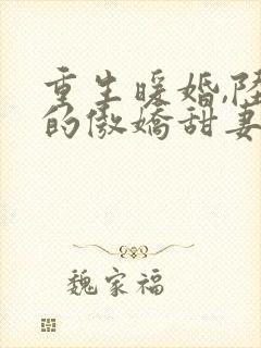 重生暖婚,陆少的傲娇甜妻