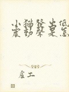 小猫发出低沉的震动声是怎么回事