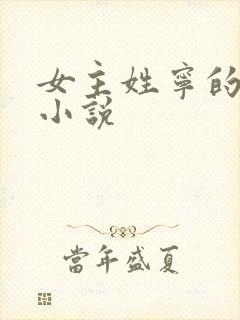 女主姓宁的现代小说