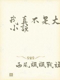 我真不是大反派小说