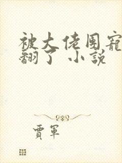 被大佬团宠后野翻了 小说
