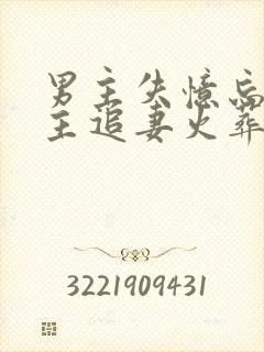 男主失忆忘了女主追妻火葬场