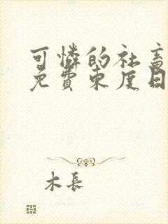可怜的社畜小说免费东度日