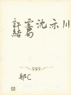 许雾沈亦川番外结局
