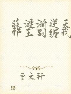 苏涟漪逆天狂妃邪王别缠我封面