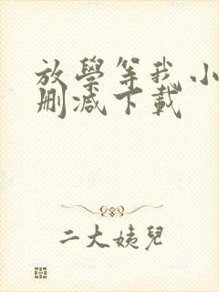 放学等我小说无删减下载