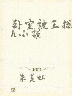 卧室被王总干高h小说