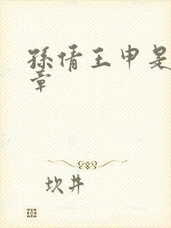 孙倩王申是第几章