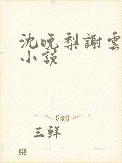 沈晚梨谢云迟的小说