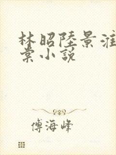 林昭陆景淮沈千棠小说