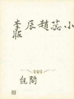 李辰赵蕊小说正版封面