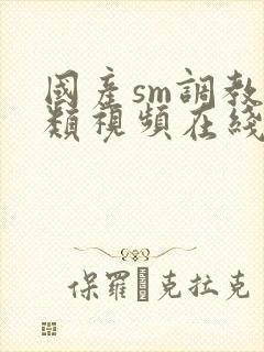 国产sm调教另类视频在线观看