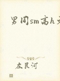 男同sm高h文