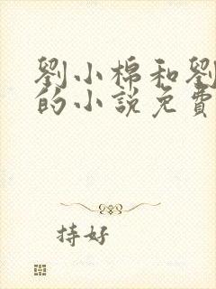刘小棉和刘易文的小说免费阅读