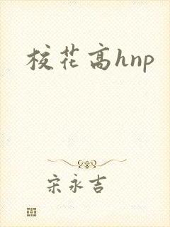 校花高hnp