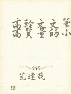 高干文文笔好的高质量的小说现代言情