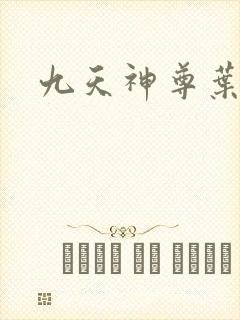 九天神尊叶辰