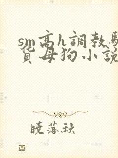sm高h调教骚货母狗小说