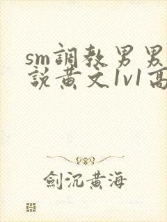 sm调教男男小说黄文1v1高h强制封面