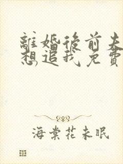 离婚后前夫总是想追我免费阅读全文封面