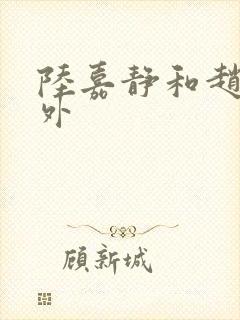 陆嘉静和赵念番外