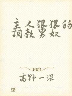 主人狠狠的惩罚调教男奴