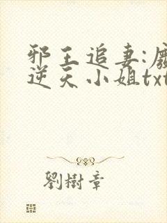 邪王追妻:废材逆天小姐txt
