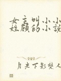 女主叫小小男主姓顾的小说