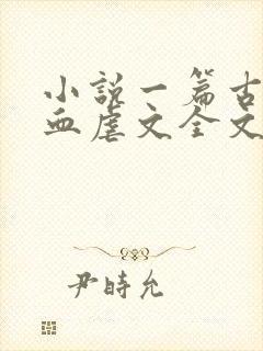 小说一篇古早狗血虐文全文免费阅读