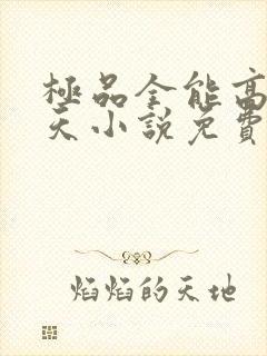 极品全能高手夏天小说免费阅读封面