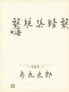 系统集精系统高嗨封面