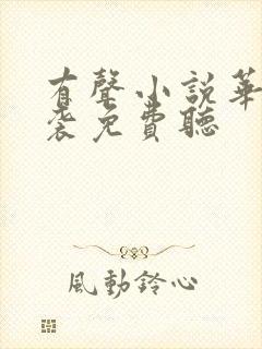 有声小说华丽逆袭免费听