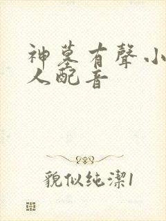 神墓有声小说多人配音