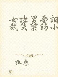女攻男受调教总裁失禁的小说