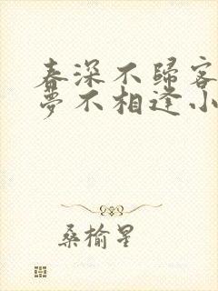春深不归客,清梦不相逢小说阅读