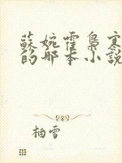 苏婉霍枭寒模仿的哪本小说