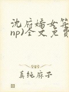 沈府娇女笄礼(np)全文免费阅读小说沈