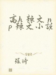 高h 辣文 np 辣文小说
