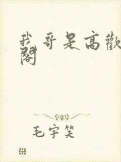 我哥是高欢笔趣阁