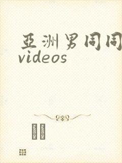 亚洲男同同性恋videos