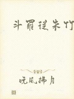 斗罗从朱竹清