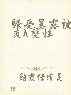 骚受暴露被强好爽h双性