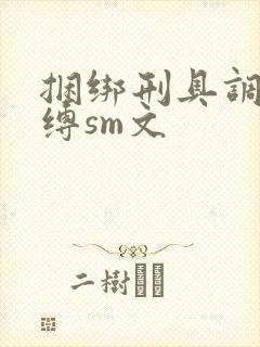 捆绑刑具调教束缚sm文