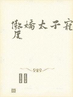 傲娇太子宠妻无度