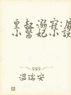 皇叔溺宠:废材小医妃小说封面