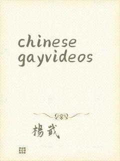 chinesegayvideos