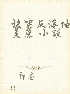 快穿反派他过分美丽 小说封面
