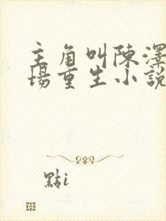 主角叫陈泽的官场重生小说