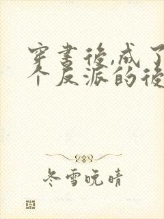穿书后,成了六个反派的后娘小说封面