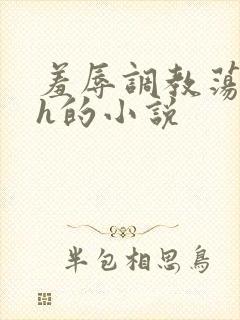 羞辱调教荡女高h的小说封面